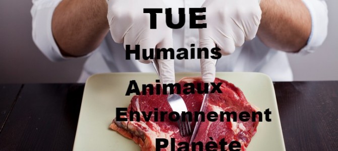 Manger de la viande TUE, humains, animaux, environnement et planète(Parution)